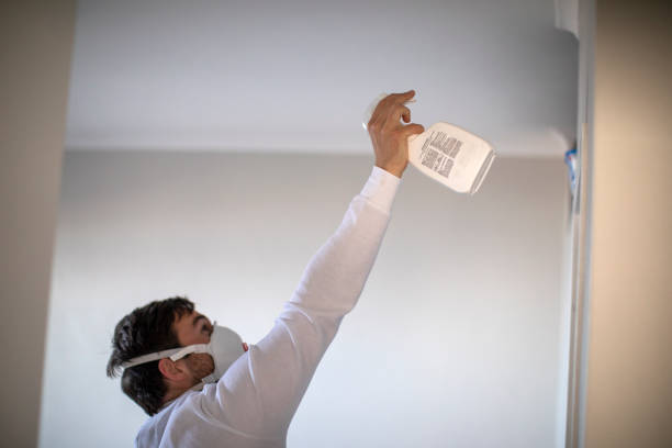 Best Professional Mold Removal  in Chilhowie, VA