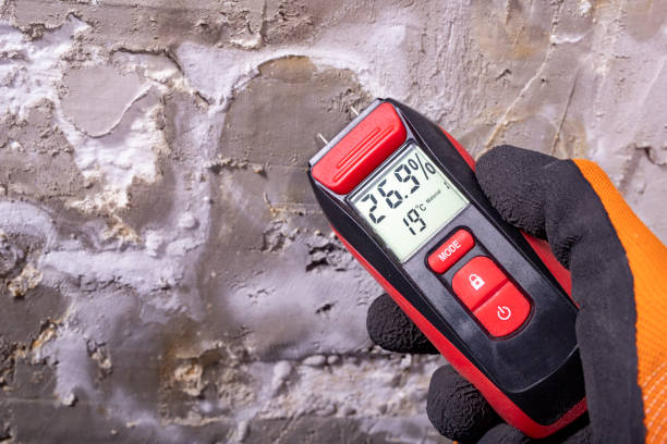 Office Mold Removal Services in Chilhowie, VA