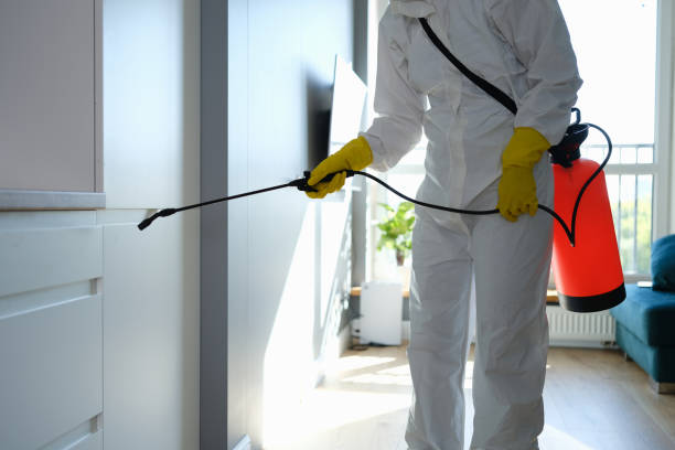 Best Office Mold Removal Services  in Chilhowie, VA