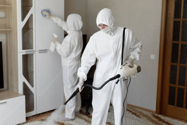 Best Commercial Mold Removal  in Chilhowie, VA